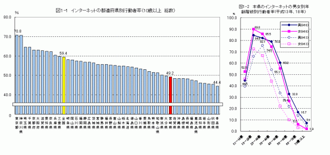 図1-1,1-2インターネットの行動者率