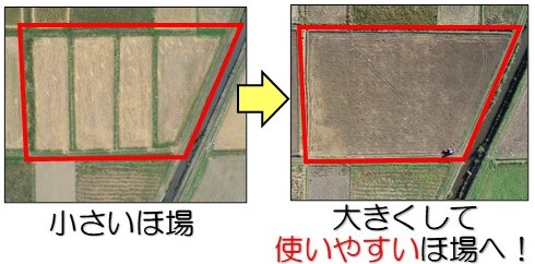 畦畔除去3