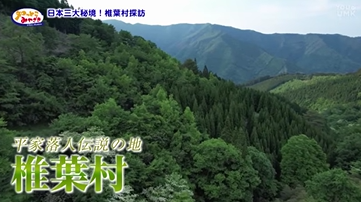 椎葉村