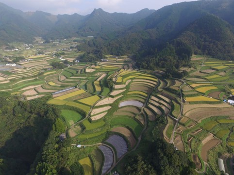 世界農業遺産