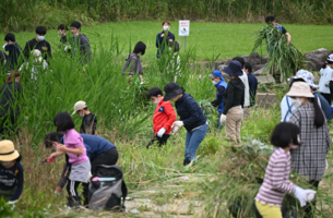 大淀川流域ネットワーク