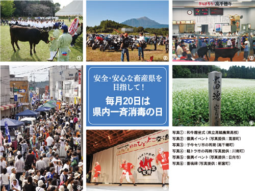 県広報みやざき平成22年12月号「特集：食べよう宮崎のさかな～宮崎県水産物ブランド品～」表紙