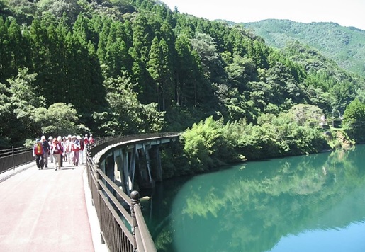 日之影町森林セラピー推進協議会写真