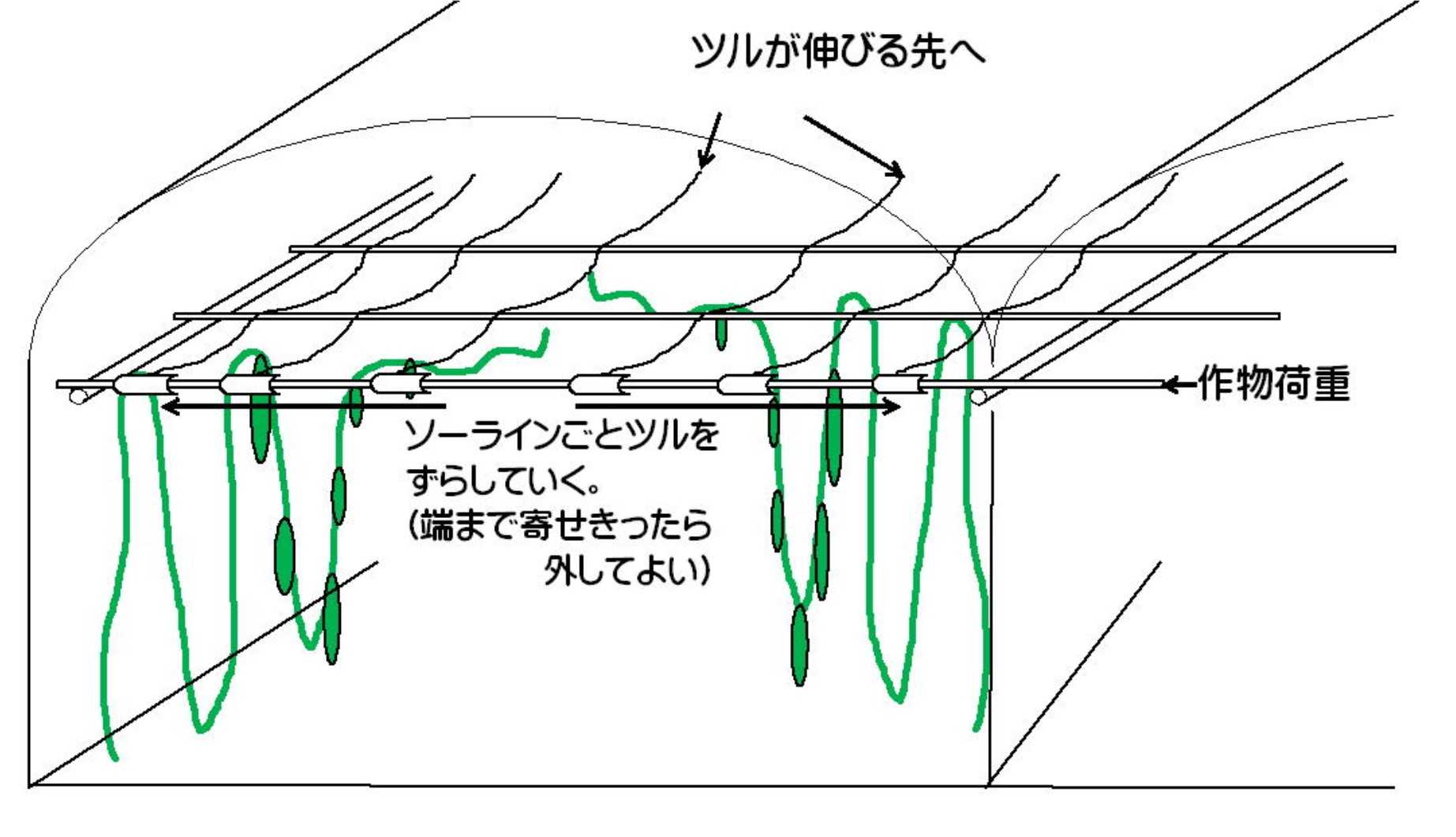 模式図