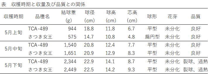 キャベツ表