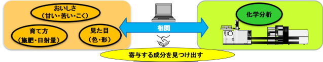 メタボロミクス手法の図