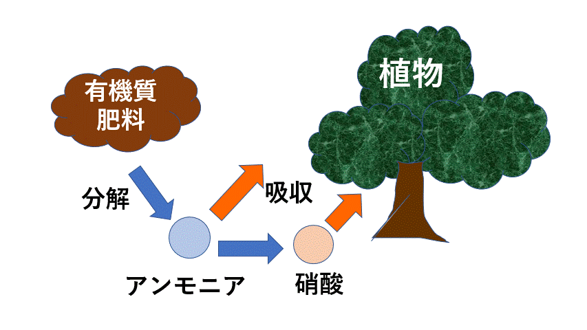 有機質肥料