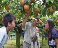 高鍋町観光協会