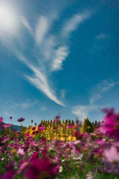 生駒高原の夜空