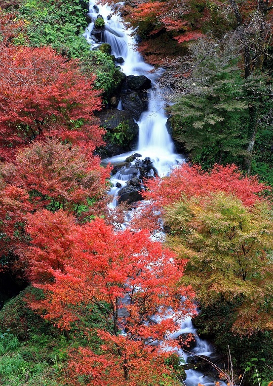 白水の滝