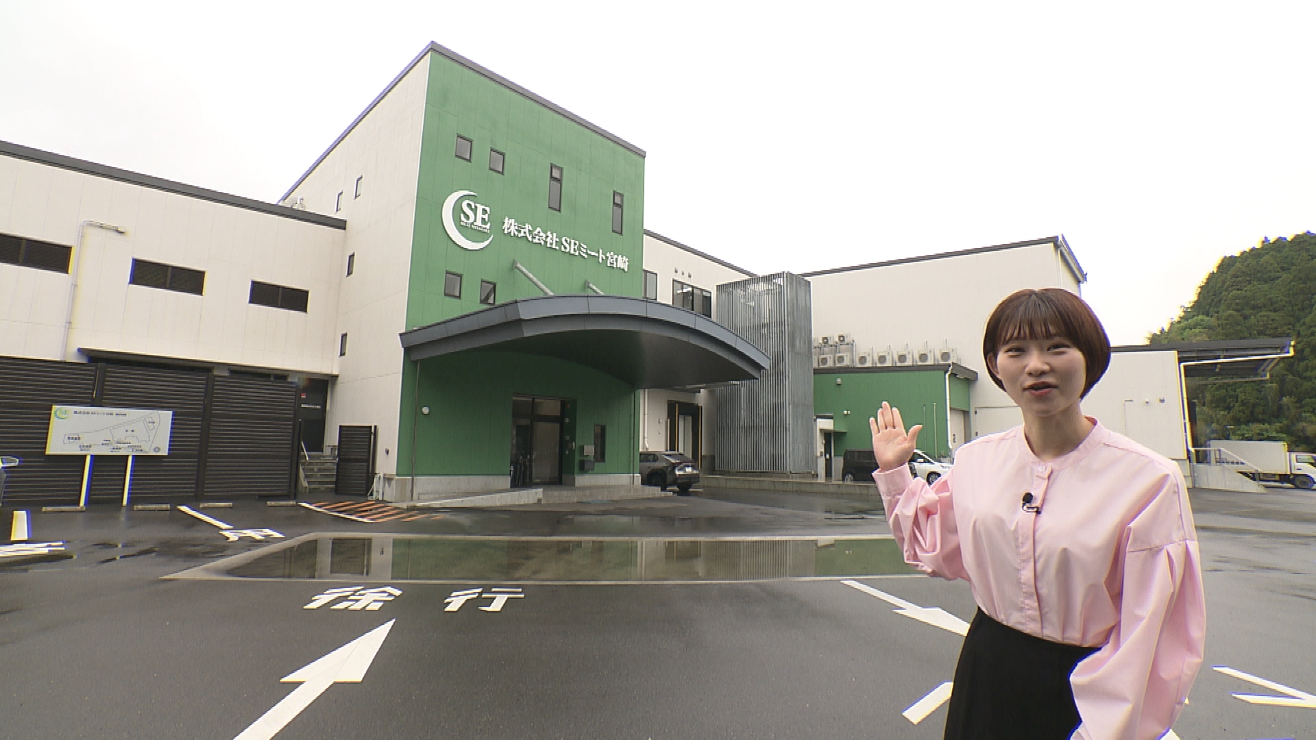 SEミート