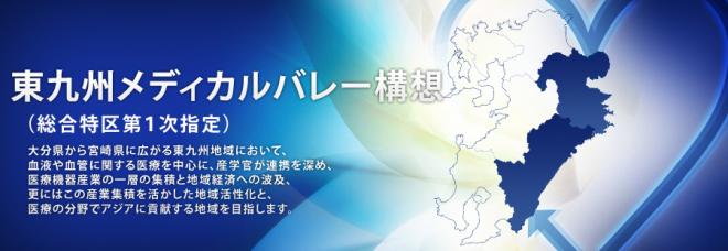 東九州メディカルバレー構想（総合特区第1次指定）