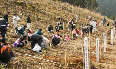 平成23年植樹当時の様子1