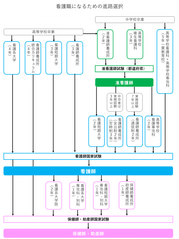 看護職になるための進路選択