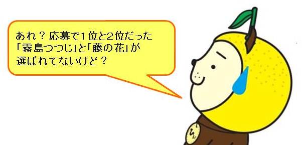 ひぃくんコメント：あれ？応募で1位と2位だった「霧島つつじ」と「藤の花」が選ばれてないけど？