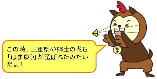 かぁくんコメント：この時、三重県の郷土の花も「はまゆう」が選ばれたみたいだよ！