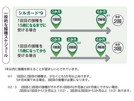スケジュール