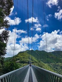 綾照葉大橋