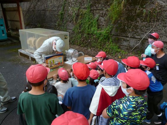 水車・発電機模型の実演様子