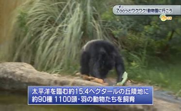 【おしえて！みやざき】令和6年7月20日「Zooっとワクワク！動物園に行こう」