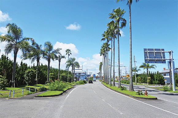 写真：沿道修景植栽地区