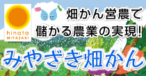 「畑かん営農で儲かる農業の実現！」みやざき畑かん