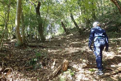 無線アンテナの巡視路