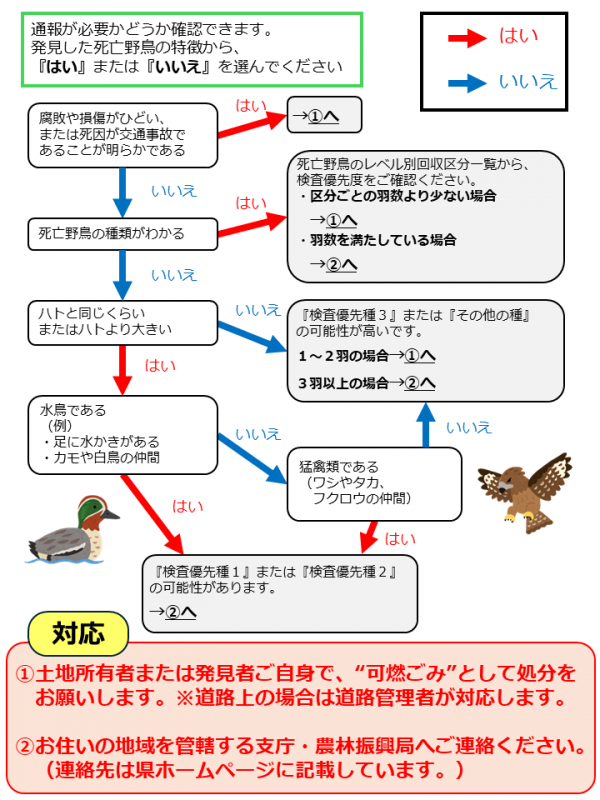 死亡野鳥通報判断フロー